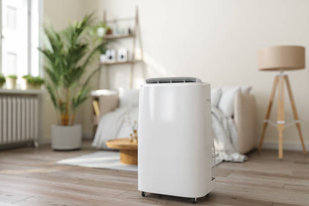 Best Ductless HVAC repair  in Coalfield, TN